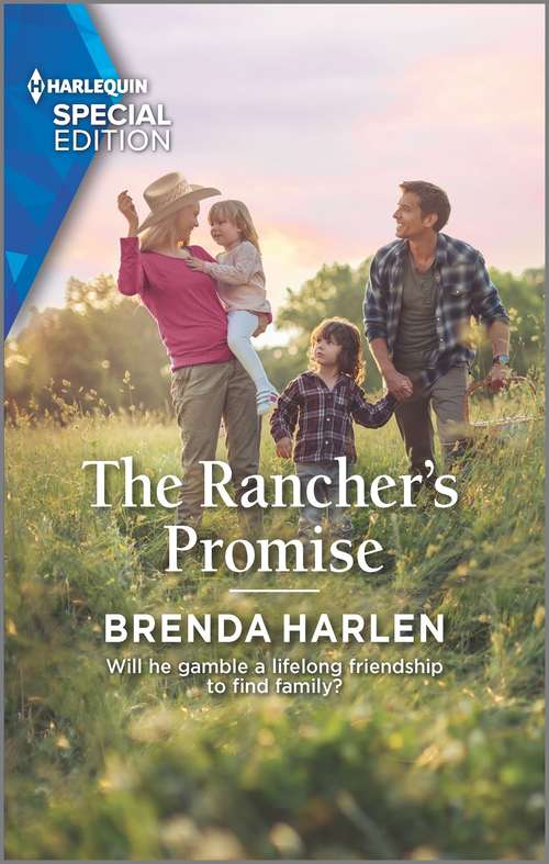 Book cover of The Rancher's Promise: Tycoon's Unexpected Caribbean Fling / The Rancher's Promise (match Made In Haven) (Original) (Match Made in Haven #10)