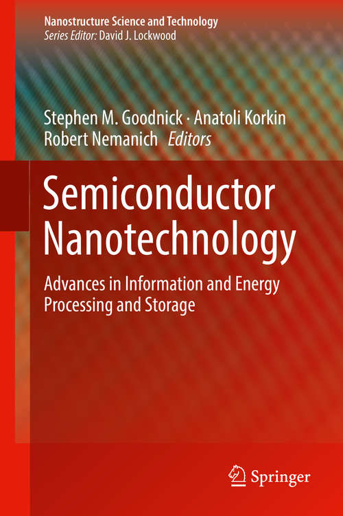 Book cover of Semiconductor Nanotechnology: Advances in Information and Energy Processing and Storage (Nanostructure Science and Technology)