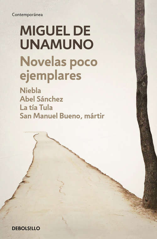 Book cover of Novelas poco ejemplares