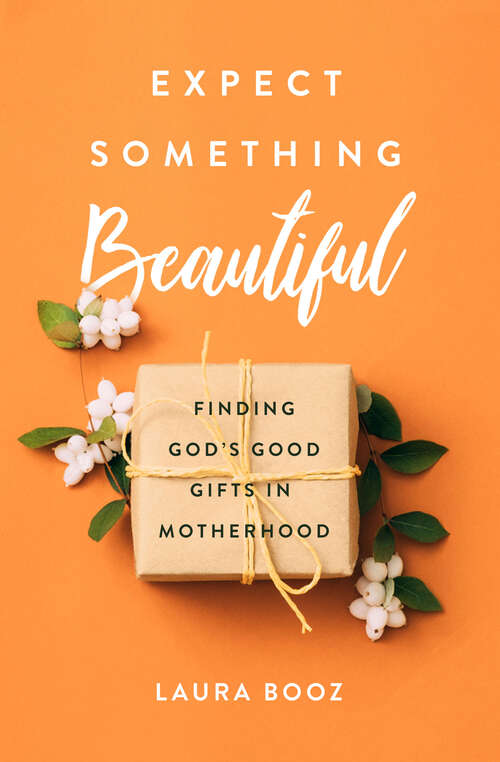 Book cover of Expect Something Beautiful: Finding God's Good Gifts in Motherhood