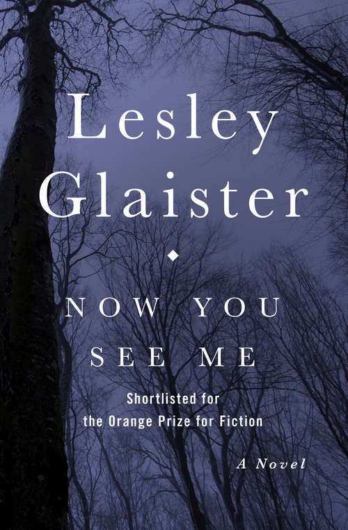 Book cover of Now You See Me: A Novel