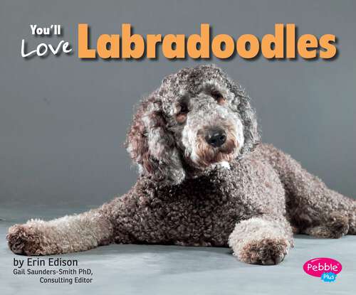 Book cover of You’ll Love Labradoodles