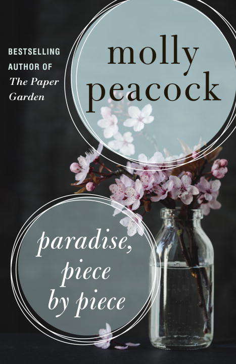 Book cover of Paradise, Piece by Piece