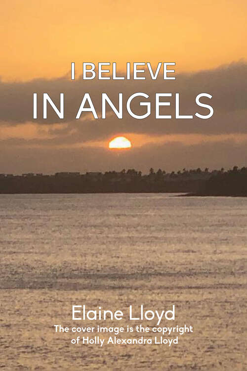 Book cover of I Believe in Angels