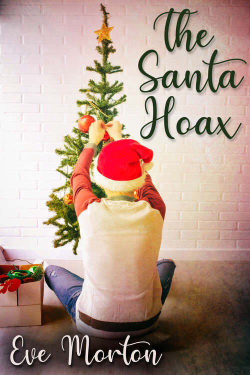 Book cover of The Santa Hoax