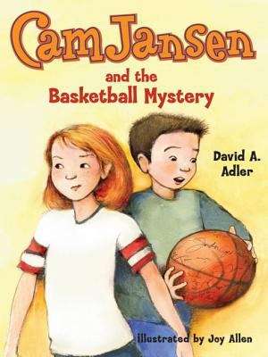 Book cover of Cam Jansen: The Basketball Mystery #29