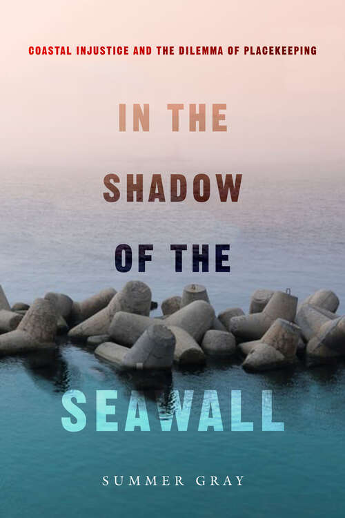 Book cover of In the Shadow of the Seawall: Coastal Injustice and the Dilemma of Placekeeping