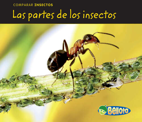 Book cover of Las partes de los insectos