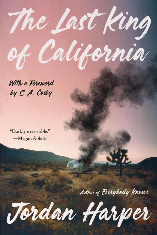 Book cover of The Last King of California