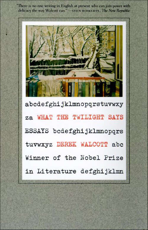 Book cover of What the Twilight Says: Essays