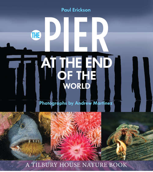 Book cover of The Pier at the End of the World (Tilbury House Nature Book #0)