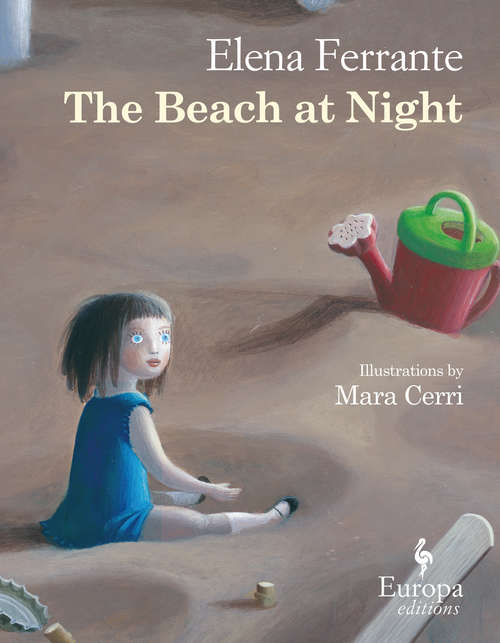 Book cover of The Beach at Night