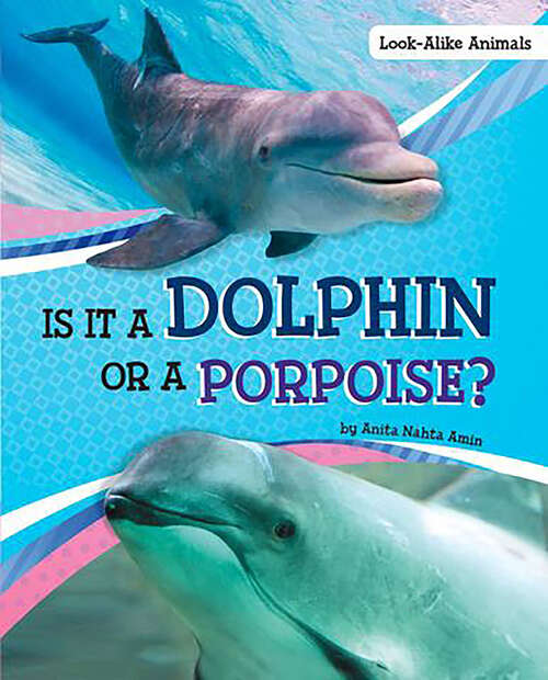 Book cover of Is It a Dolphin or a Porpoise? (Look-alike Animals Ser.)