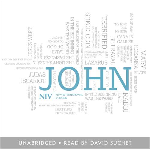 Book cover of NIV Bible: Gospel of John (New International Version)