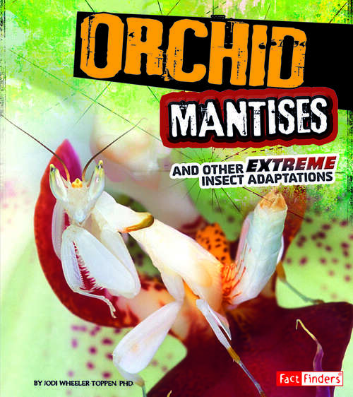 Book cover of Orchid Mantises and Other Extreme Insect Adaptations (Extreme Adaptations Ser.)