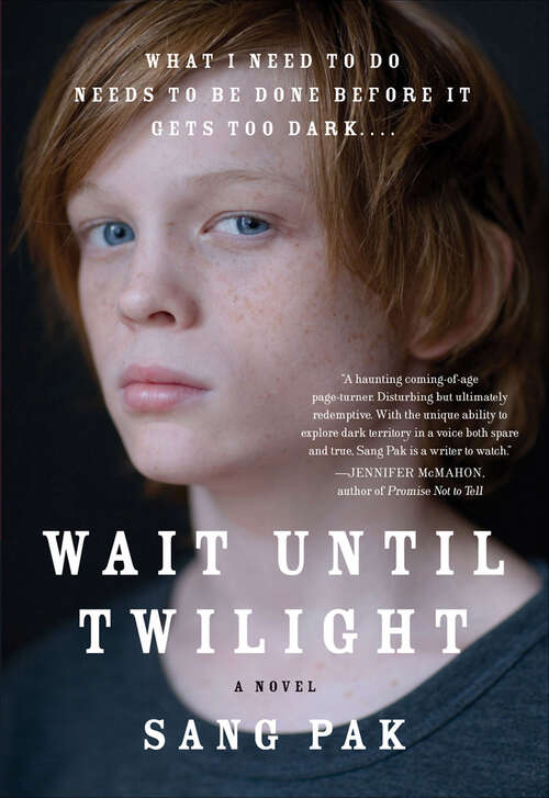 Book cover of Wait Until Twilight: A Novel