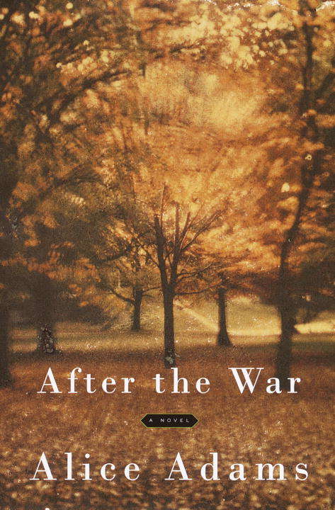 Book cover of After the War