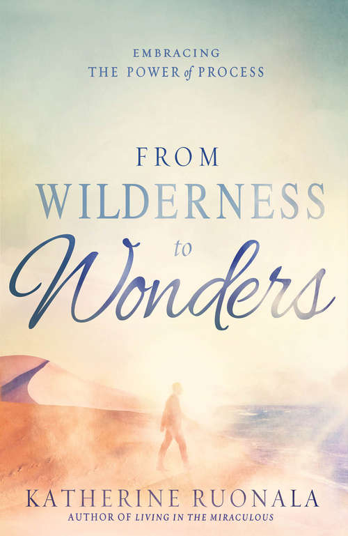 Book cover of From Wilderness to Wonders: Embracing the Power of Process