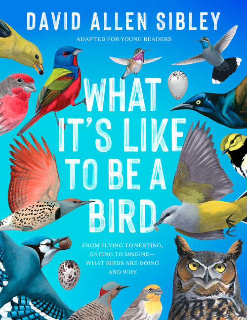 Book cover of What It's Like to Be a Bird (Adapted for Young Readers): From Flying to Nesting, Eating to Singing--What Birds Are Doing and Why