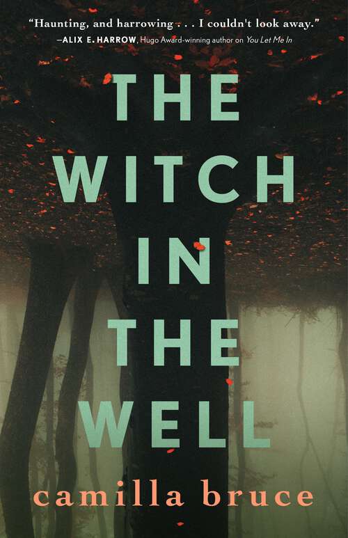 Book cover of The Witch In The Well