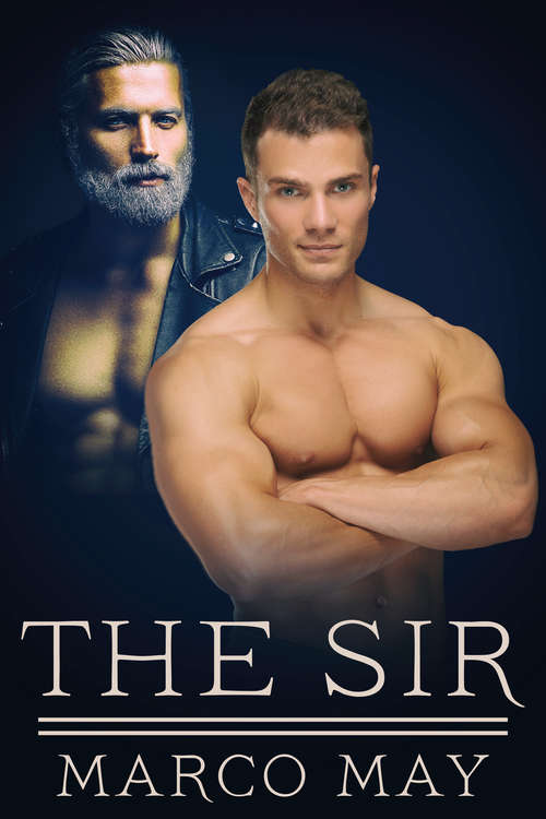 Book cover of The Sir