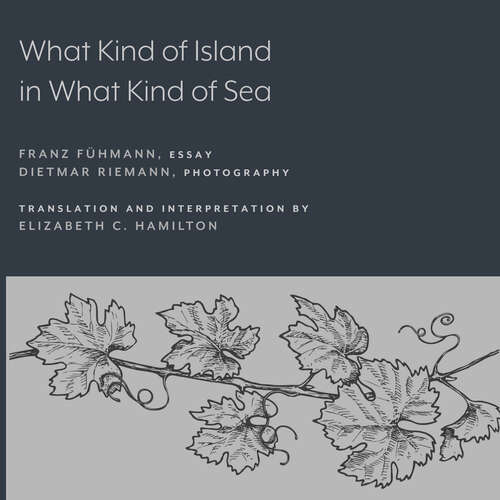 Book cover of What Kind of Island in What Kind of Sea?