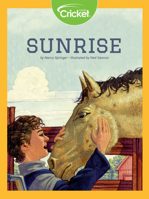 Book cover of Sunrise