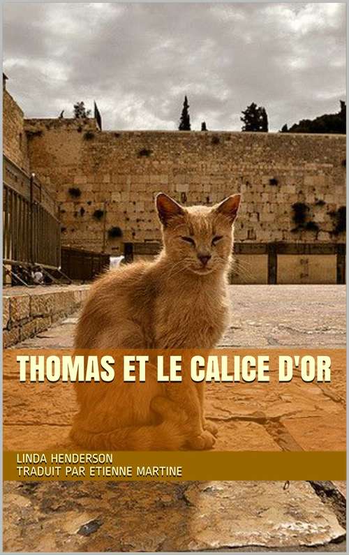 Book cover of Thomas et le calice d'or