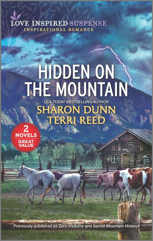 Book cover of Hidden on the Mountain (Reissue)