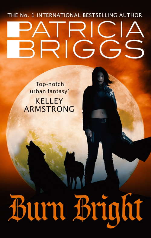 Book cover of Burn Bright: An Alpha and Omega Novel: Book 5 (Alpha and Omega #5)