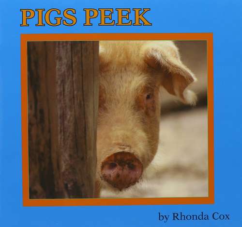Book cover of Pigs Peek (Fountas & Pinnell LLI Blue: Level C)
