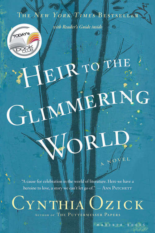 Book cover of Heir to the Glimmering World: A Novel