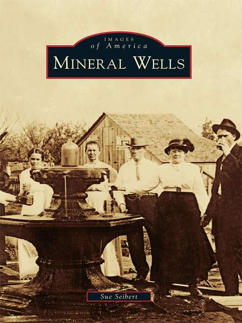 Book cover of Mineral Wells