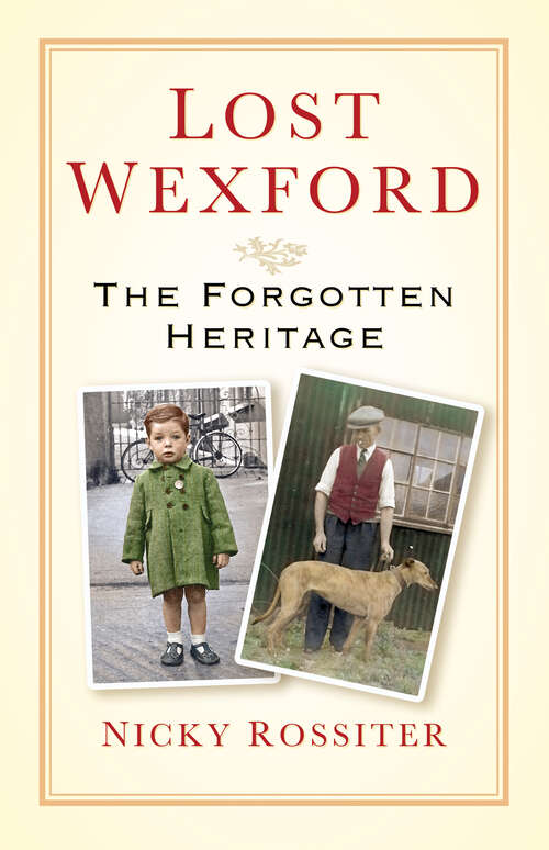 Book cover of Lost Wexford: The Forgotten Heritage