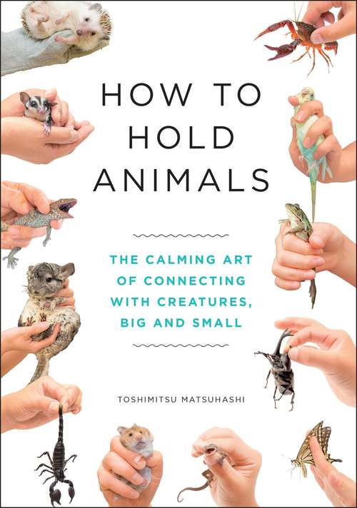 Book cover of How to Hold Animals: The delightful guide to caring for animals, big and small!