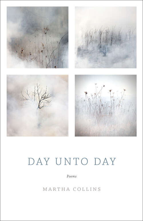 Book cover of Day Unto Day: Poems