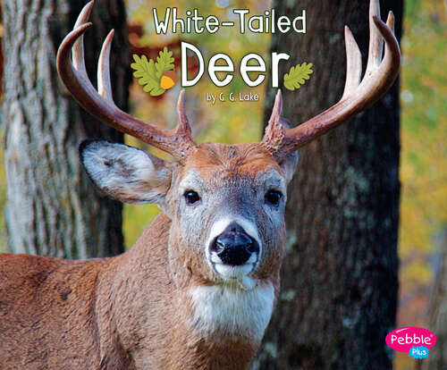 Book cover of White-Tailed Deer (Woodland Wildlife Ser.)