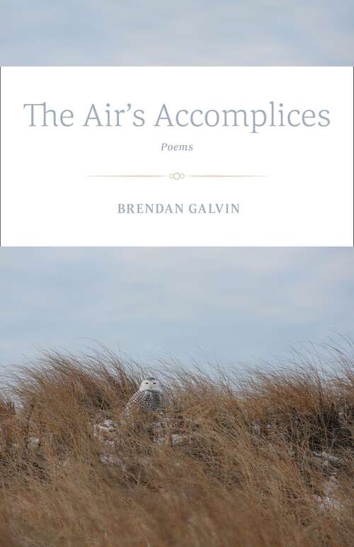 Book cover of The Air's Accomplices: Poems