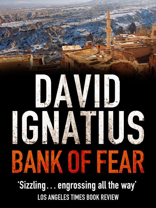 Book cover of Bank of Fear