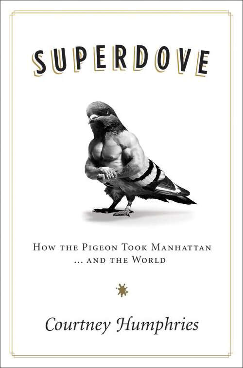 Book cover of Superdove: How the Pigeon Took Manhattan ... And the World