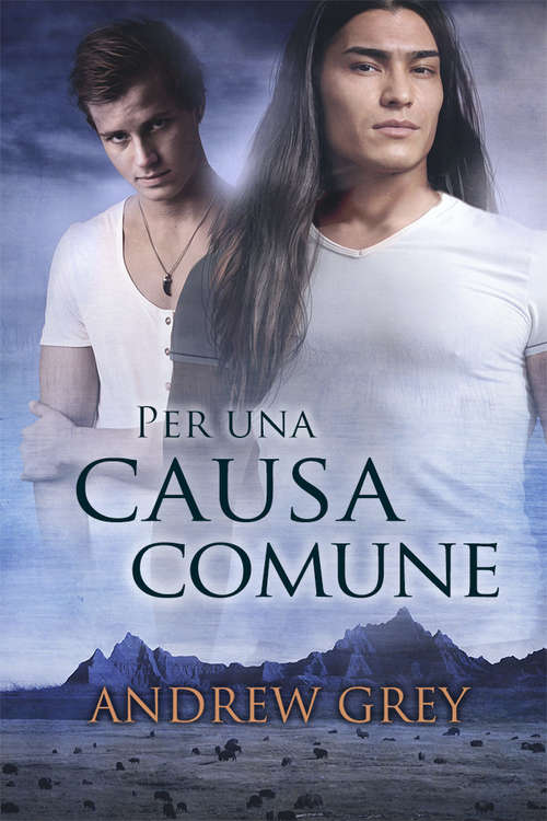 Book cover of Per una causa comune (Una buona causa #1)