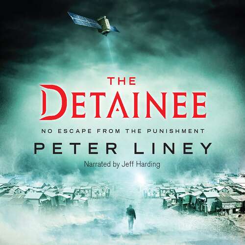 Book cover of The Detainee: the Island means the end of all hope (The Detainee #4)