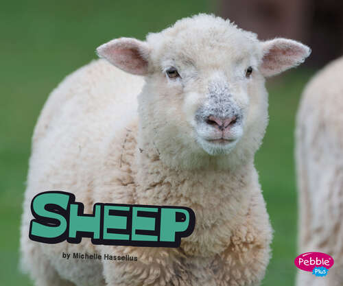 Book cover of Sheep (Farm Animals Ser.)