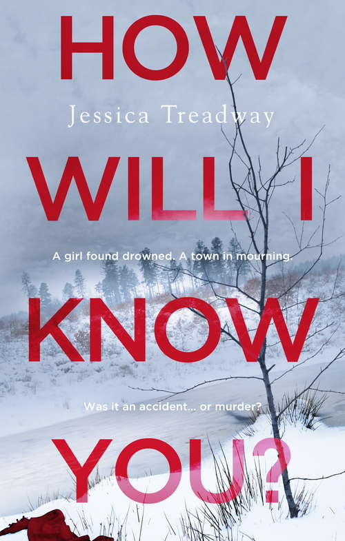 Book cover of How Will I Know You?: A Novel