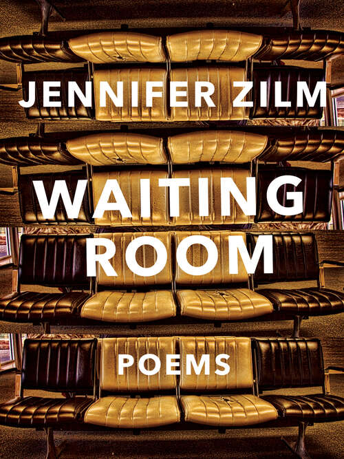 Book cover of Waiting Room