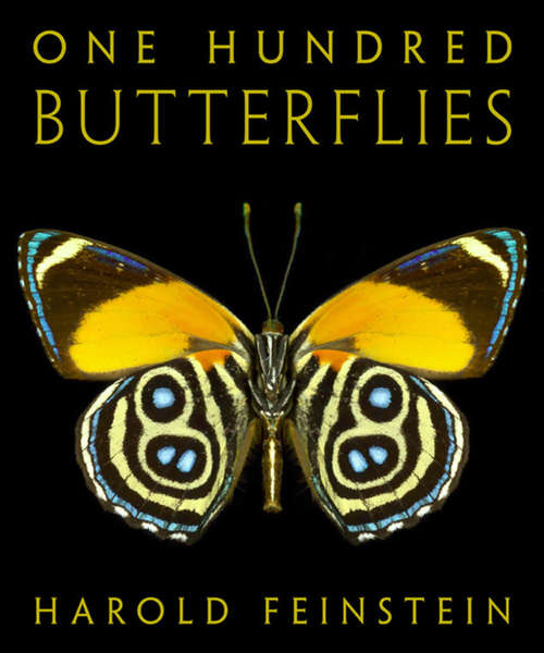 Book cover of One Hundred Butterflies