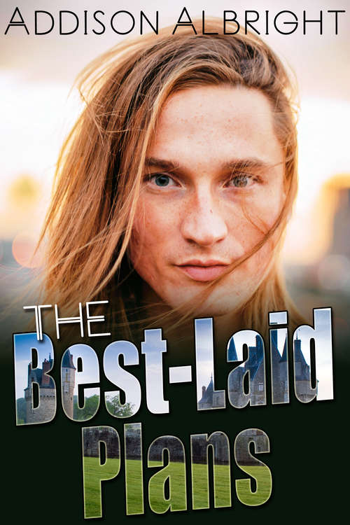 Book cover of The Best-Laid Plans