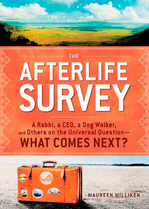 Book cover of The Afterlife Survey