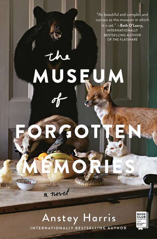 Book cover of The Museum of Forgotten Memories: A Novel