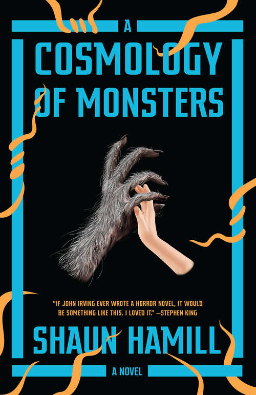 Book cover of A Cosmology of Monsters: A Novel